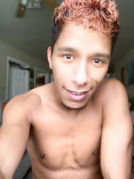 _FRESH PRINCE_ pornstar perfect images