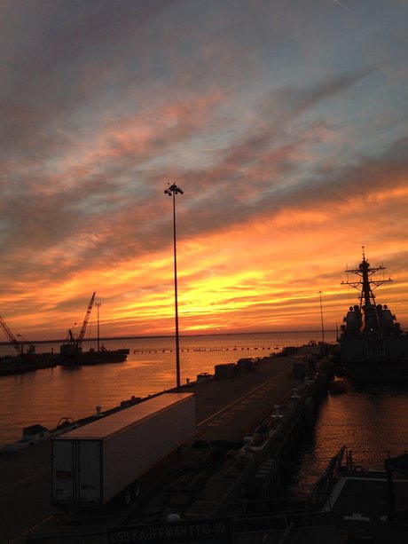 Tattooedsaylor sexy actress galleries