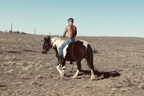 Tommy Rex hot star pictures