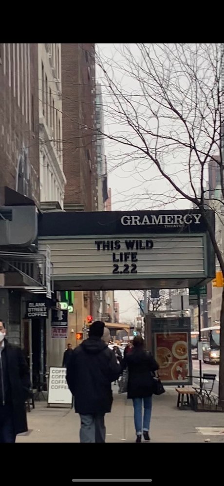 Zara Vo model art gallery