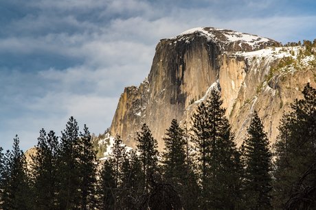 shine beautiful model galleries