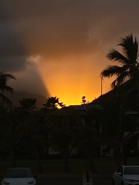 Top Vibes_ top pornstar photo