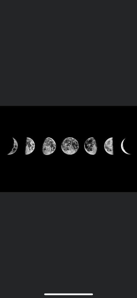 MY MY Cole high quality pornstar picture