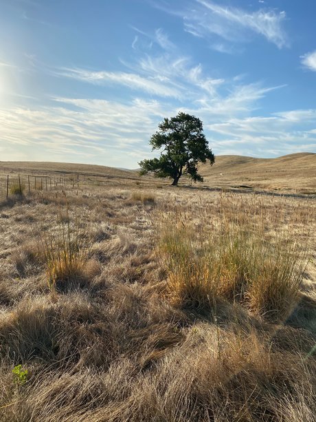 Jerrad greenick nudes pornstar pic