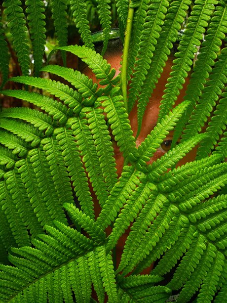 TToes hd model images