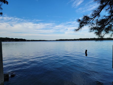 TazDevil69 pornstar beautiful archive