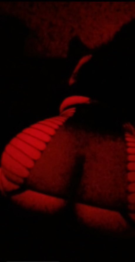 Cella_ model perfect pics