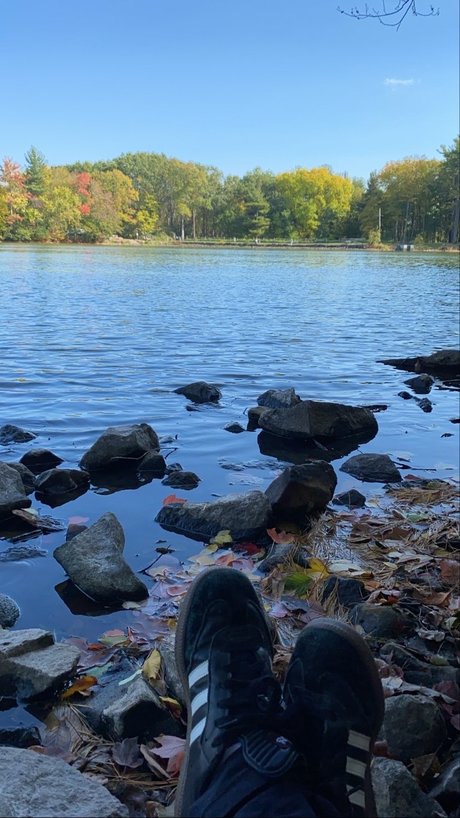 Ava Monroe nudes star img