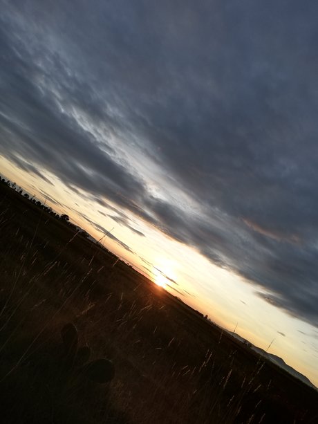 Carlos Daniel S nchez Estrada hd actress image