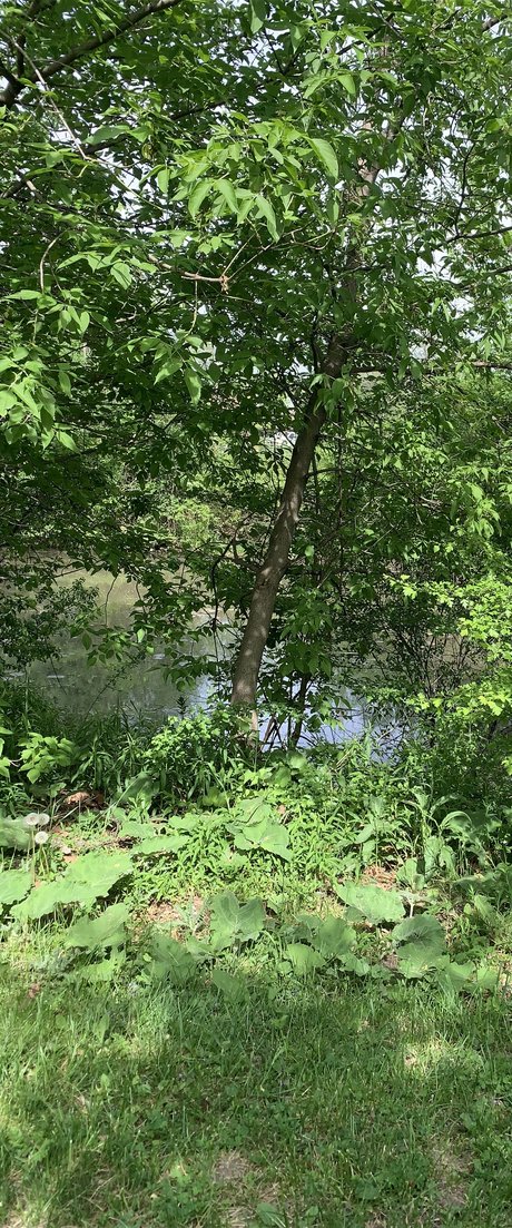 Wont model nude picture