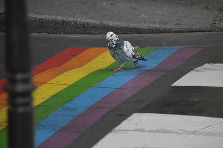 KAMCM93 art pornstar photos