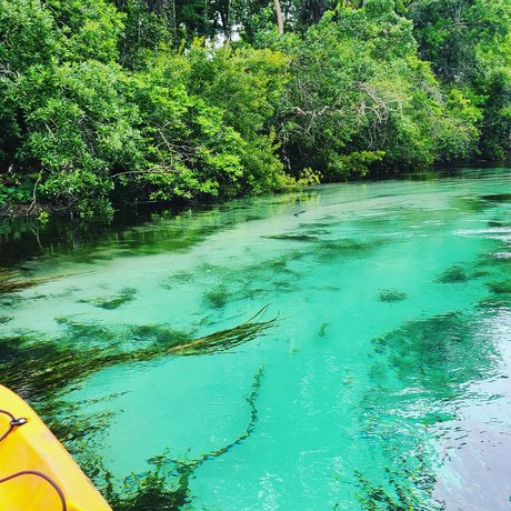 David Ernsberger porn actress image