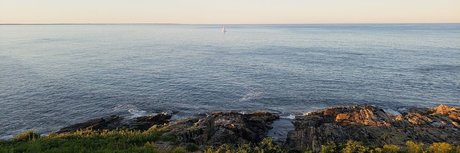 Max Weinbach nudes pornstar pictures