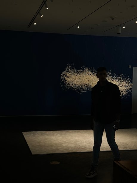 David Orz best star pictures