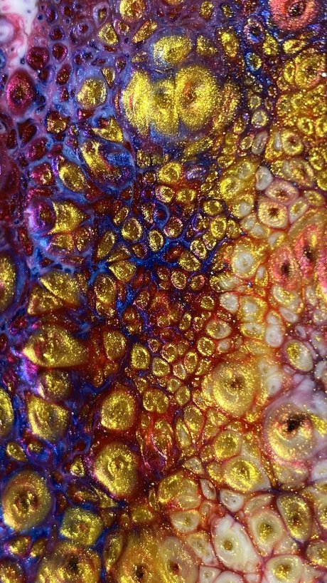 xntriclatin nice model photos