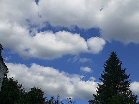 Kingler model top photo