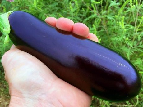 Nympho6ix nice pornstar galleries