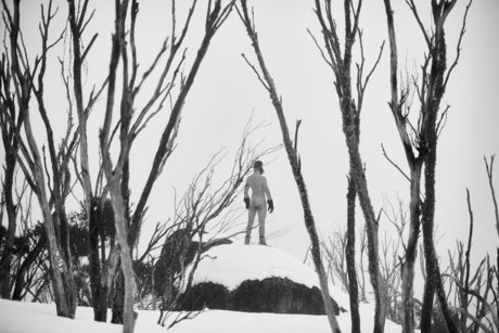 gustralia high quality star photos