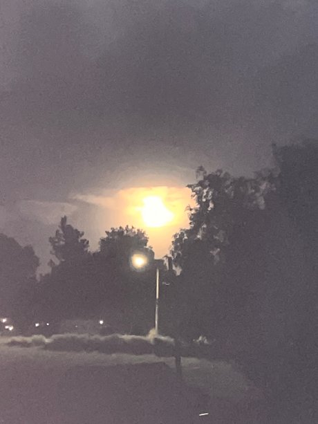 Talented 42h0e actress pic