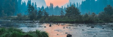 Eels sex actress pictures