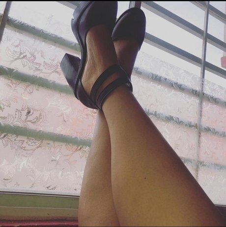 Lica star art archive