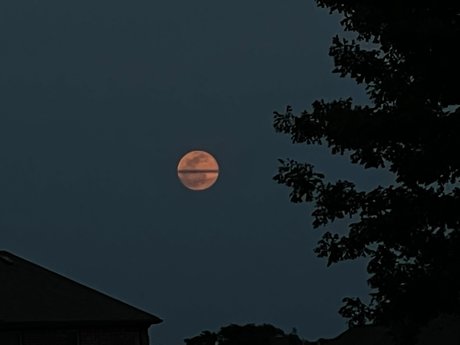 Michael Martinez naked actress image