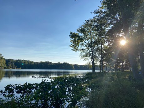 Shine His Light_ art pornstar image