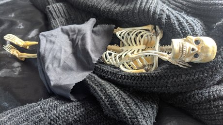 Dead Sexy Bones pretty actress picture