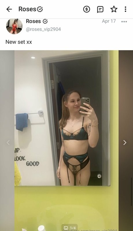 roses vip2904 art model image