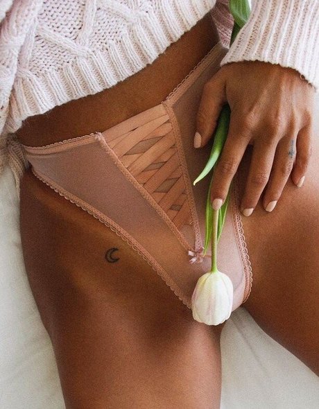 Leidys Ortiz nice pornstar archive