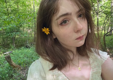 muffinsmuffins222 perfect star archive