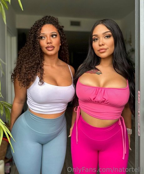 natortelli high quality model img