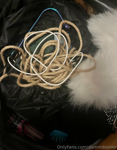 dammdenver pornstar adult galleries