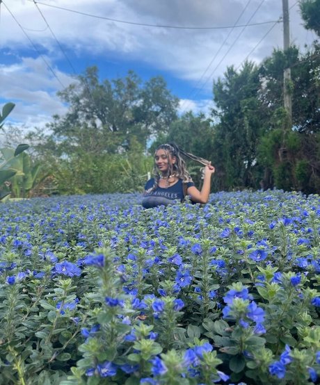 Plantbae perfect star gallery