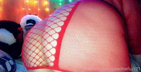 daisydiorxo pornstar best picture