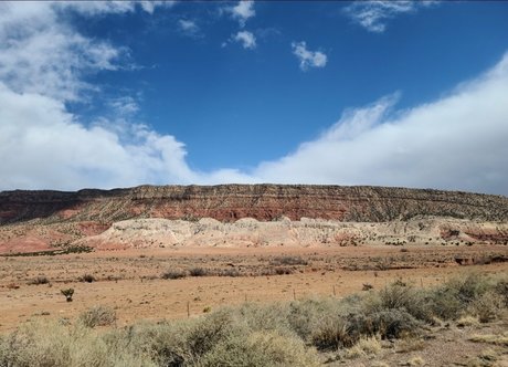 cui free best pornstar archive