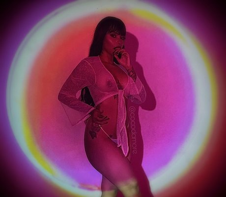 Cocodamore model exclusive photo