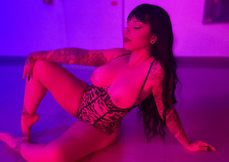 Cocodamore nice pornstar image