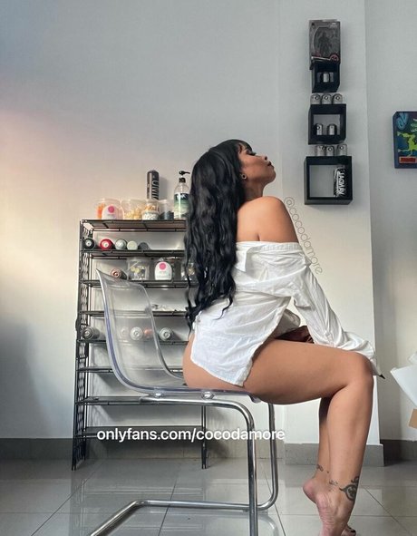 Cocodamore xxx star gallery