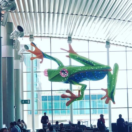 Hot life star perfect gallery