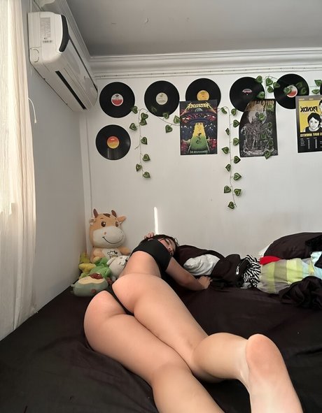 pancitoxx high quality star img