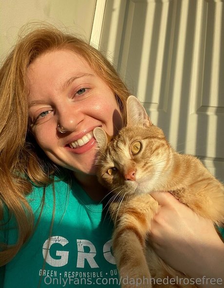 daphnedelrosefree star free image