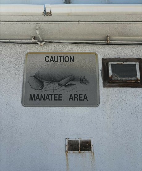 Hanna Luukkonen naked actress pic