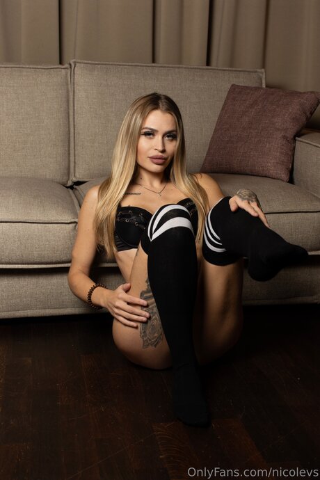 Nicolevs star adult image