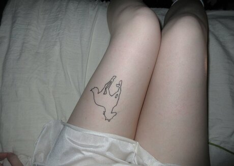 Spinechillx art star photos