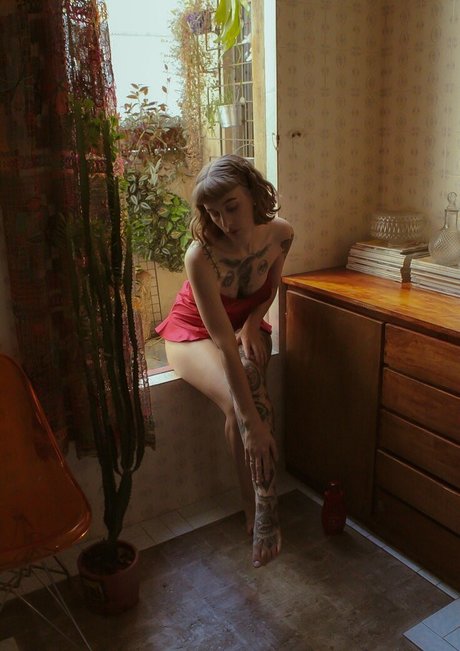 donalaura_ hot pornstar photos