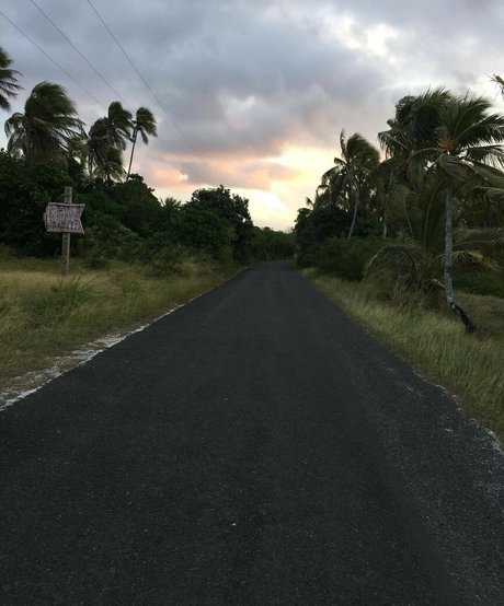 Adele tsy sexy pornstar pictures