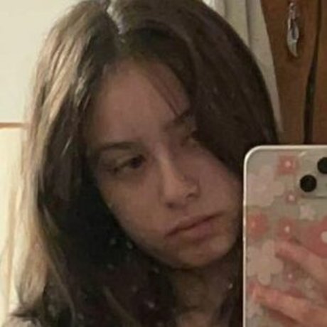 Buddy Bear top model image