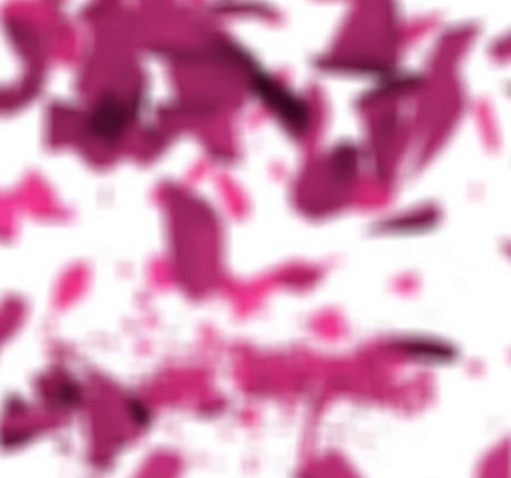 Girlsrimming model top photos