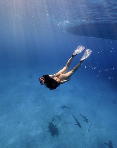 Tara Yummy nude star images